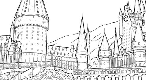 Harry Potter: Wizardry Coloring Book