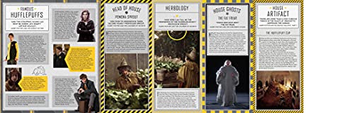 Hufflepuff Magic Artifacts: Harry Potter Wonders