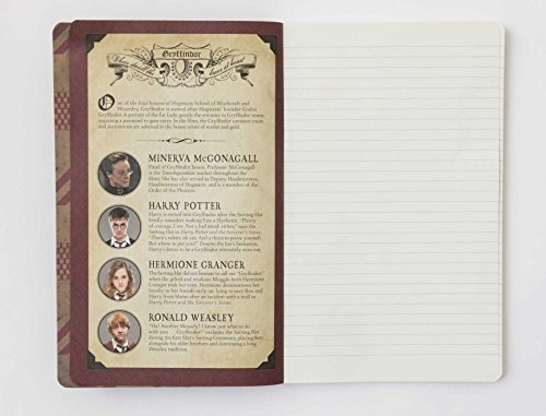Gryffindor Insights: Harry Potter Notebook