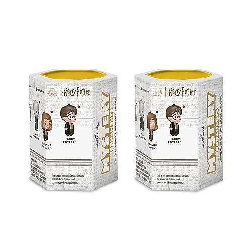 Harry Potter Mystery Christmas Ornaments, Set of 2