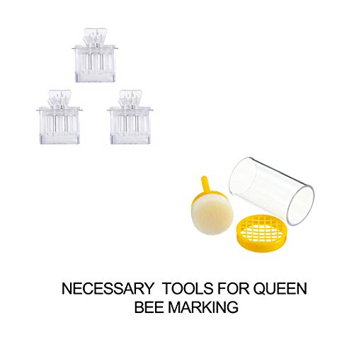 Complete Beekeeping Tool Set with Smoker and Accessories