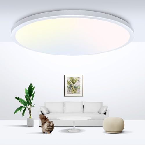 24W 3-Color LED Ceiling Light Fixture