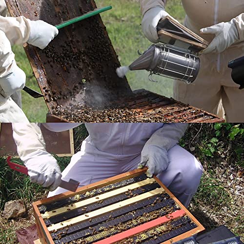 Stainless Steel Bee Hive Smoker Tool Kit
