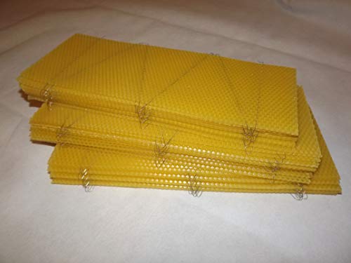 Wired Beeswax Foundation for Beekeeping - 30 Pack