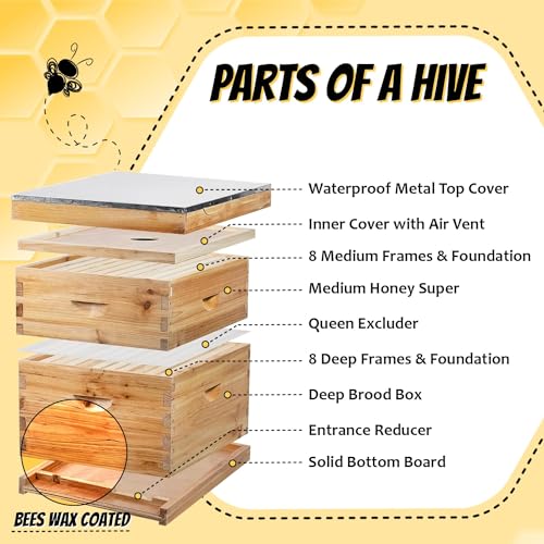 Premium Bee Hive Starter Kit with Essential Gear
