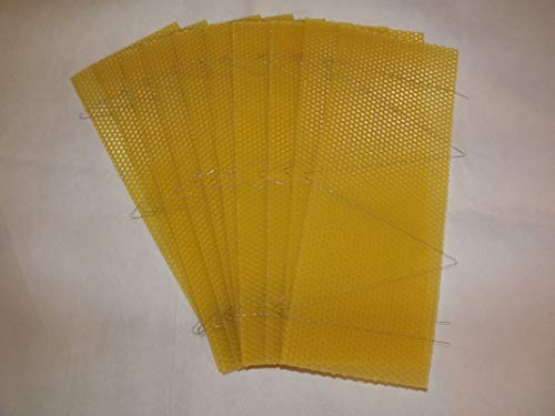 Wired Beeswax Foundation for Beekeeping - 30 Pack