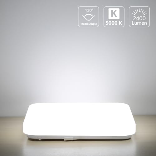 Bright 24W Square LED Ceiling Light, IP44