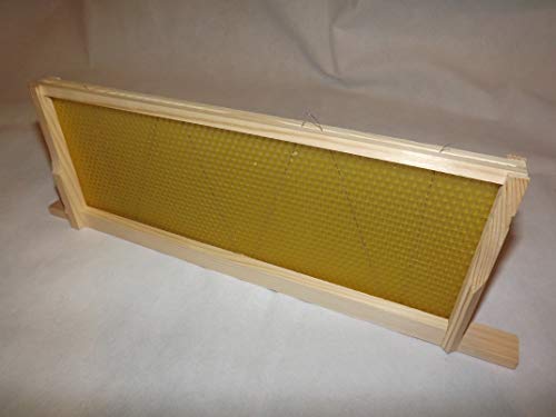 Wired Beeswax Foundation for Beekeeping - 30 Pack