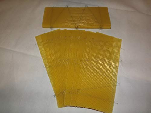 Beekeeping Wired Super Foundation - 20 Beeswax Sheets