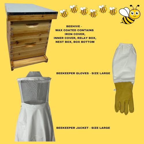 Premium Bee Hive Starter Kit with Essential Gear