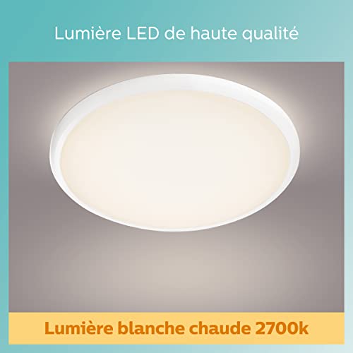 Philips 17W LED Ceiling Light for Bathrooms