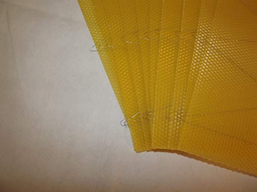 Wired Beeswax Foundation for Beekeeping - 30 Pack