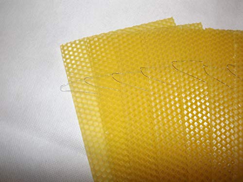 Wired Beeswax Foundation for Beekeeping - 30 Pack