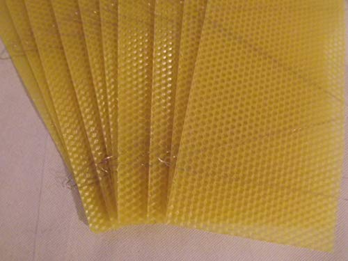 Beekeeping Wired Super Foundation - 20 Beeswax Sheets