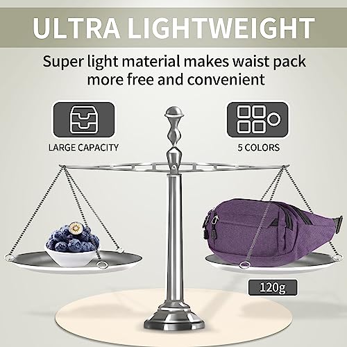 Waterproof Adjustable Bum Bag for Travel and Sports