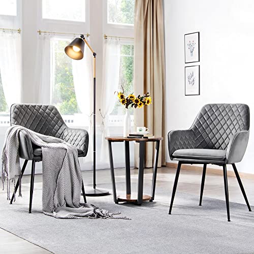 Stylish Velvet Dining Chairs Set of 2, Grey