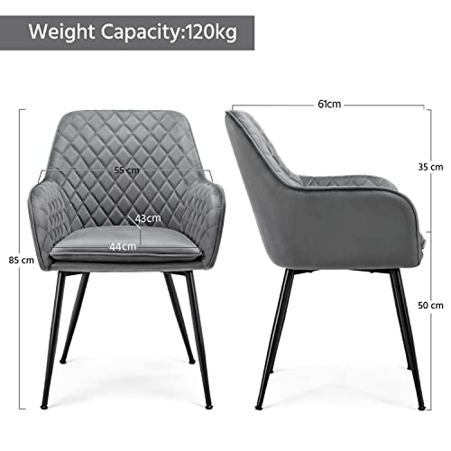 Stylish Velvet Dining Chairs Set of 2, Grey