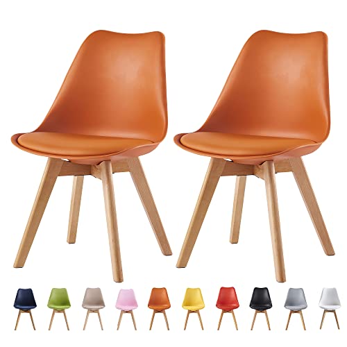 Set of 2 Stylish Retro Lounge Dining Chairs