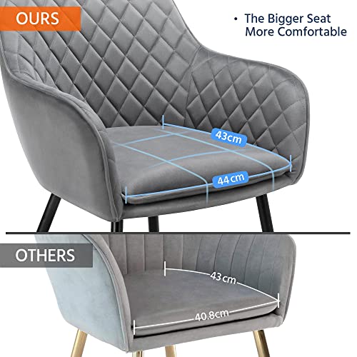 Stylish Velvet Dining Chairs Set of 2, Grey