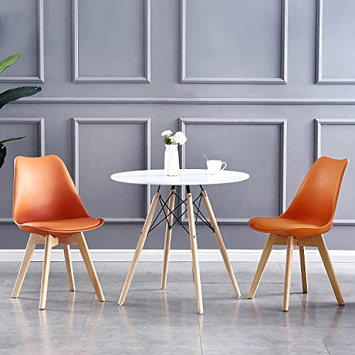 Set of 2 Stylish Retro Lounge Dining Chairs