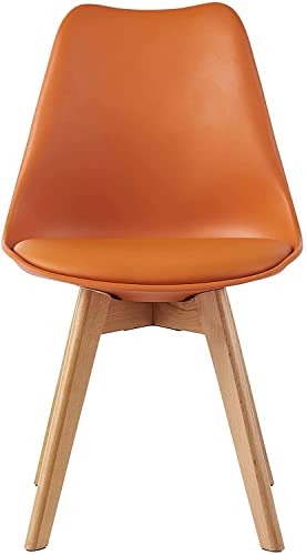 Set of 2 Stylish Retro Lounge Dining Chairs