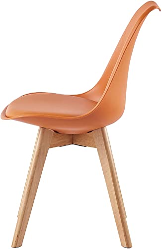 Set of 2 Stylish Retro Lounge Dining Chairs