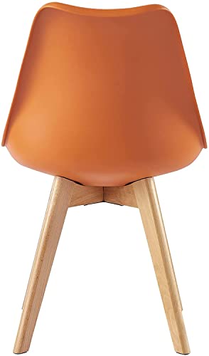Set of 2 Stylish Retro Lounge Dining Chairs