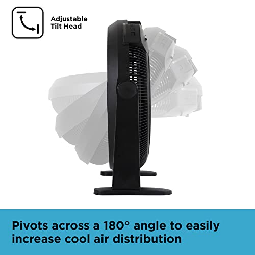 BLACK+DECKER 2-in-1 High Velocity Fan with Timer