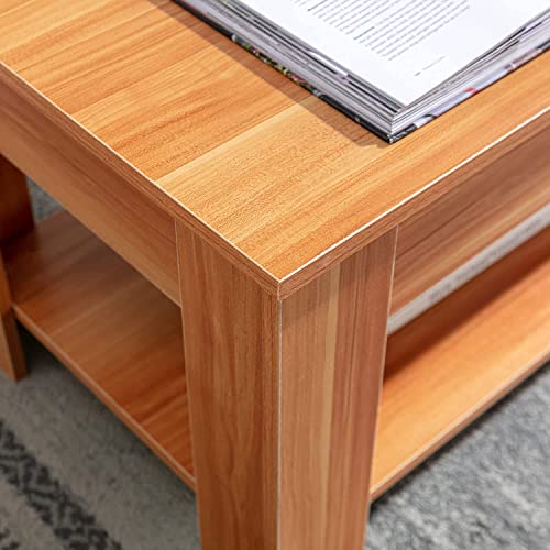 Blisswood Lift-Top Coffee Table with Storage
