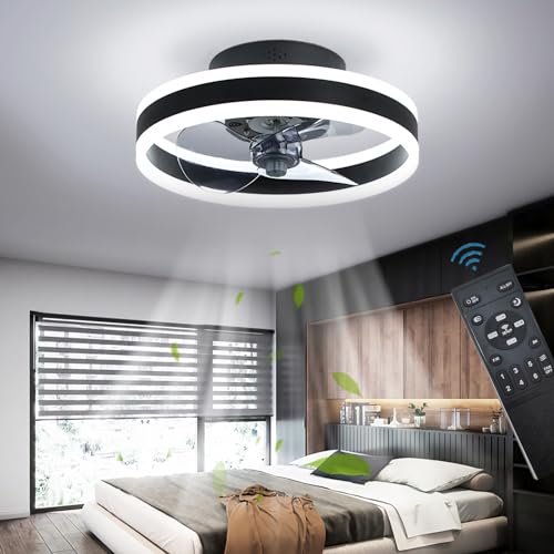Modern LED Ceiling Fan Light with Remote Control
