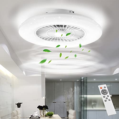 Modern 60CM LED Ceiling Fan Light