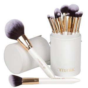 12-Piece Professional Makeup Brushes Set with Case
