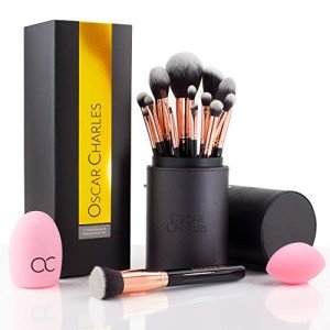 17-Piece Professional Makeup Brush Set with Case