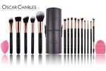 17-Piece Professional Makeup Brush Set with Case