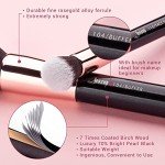 Jessup 15-Piece Rose Gold/Black Makeup Brush Set