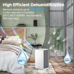 Portable Quiet Dehumidifier with LED & Auto Features