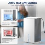 Portable Quiet Dehumidifier with LED & Auto Features