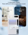 Heelay® 3L/Day Dehumidifier for Home Spaces