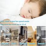 SHINCO 10L Energy Efficient Dehumidifier & Air Purifier