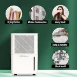 Belaco Portable 12L Dehumidifier with Timer