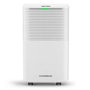 Hangsun 12L Daily Dehumidifier with Humidity Display