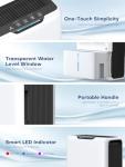 Compact 3000 ML Dehumidifier with Timer and Auto Defrost