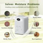 Compact 2200ml Dehumidifier with LED Lights