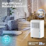 12L Dehumidifier with Auto Sensor and Night Mode