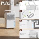 12L Dehumidifier with Auto Sensor and Night Mode