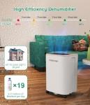 FRESHDEW 12L Dehumidifier with Drain Hose