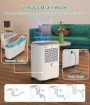 FRESHDEW 12L Dehumidifier with Drain Hose