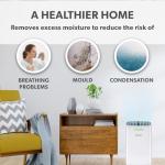 ElectriQ 12L Portable Dehumidifier for Homes