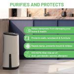 MeacoDry Arete® One 20L Dehumidifier & Air Purifier