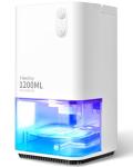 Heelay Portable Electric Dehumidifier with LED Lights